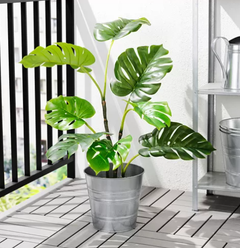 FEJKA Artificial potted plant, in/outdoor monstera, 19 cm