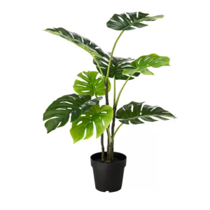 FEJKA Artificial potted plant, in/outdoor monstera, 19 cm